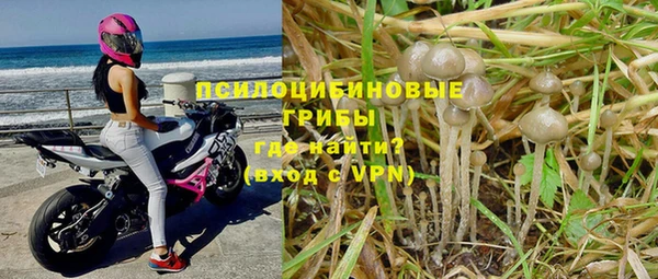 спайс Абаза