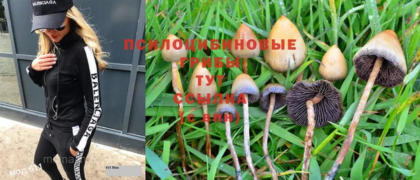 скорость Сафоново