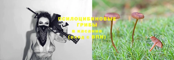 PSILOCYBIN Абинск