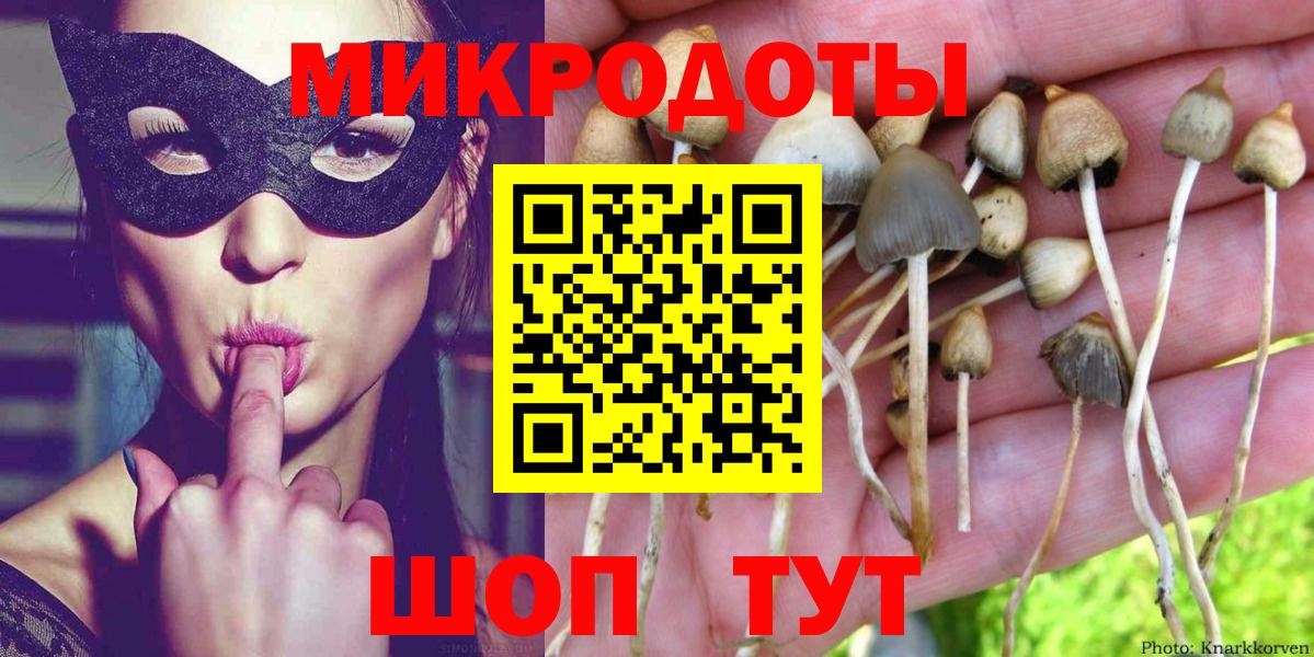 Курчатов  Псилоцибиновые грибы GOLDEN TEACHER  Вход с VPN 