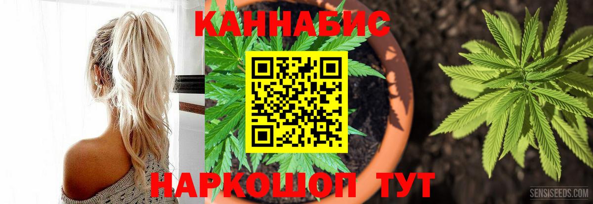 Канабис конопля Курчатов